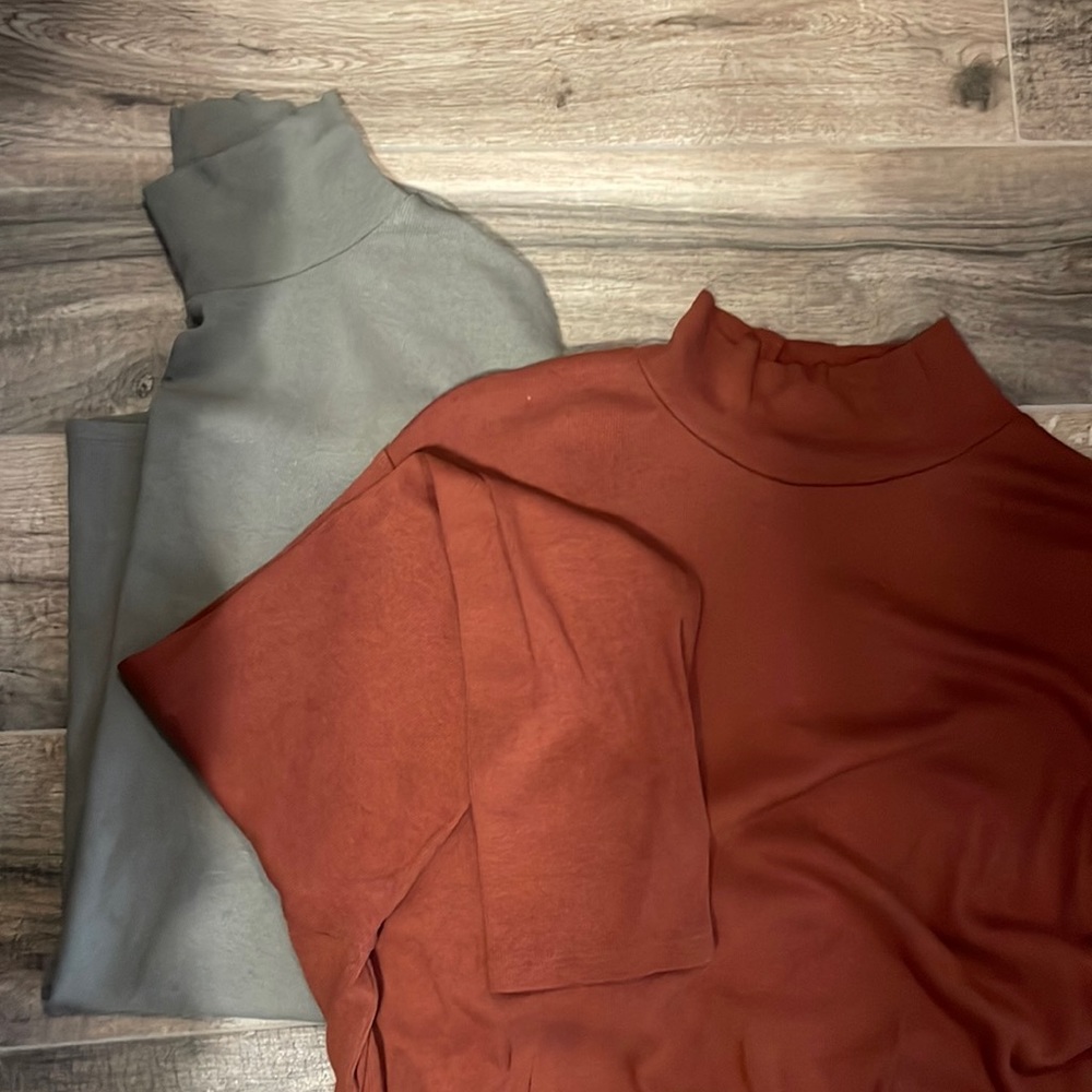 Long Sleeved Turtle Neck (2 pack)